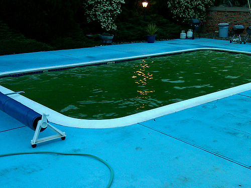 how to treat algae in pool how to remove black algae from pool what causes algae in pool