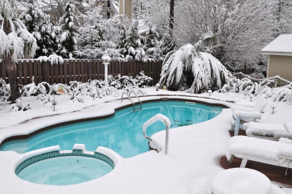 service your pool heat pump after a snowstorm