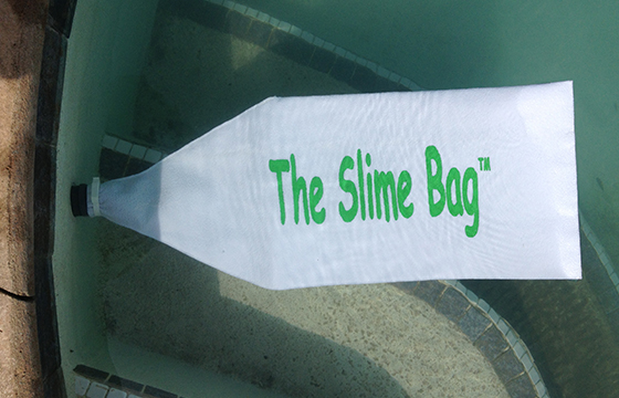 pool slime bag add to improve sand pool filtration