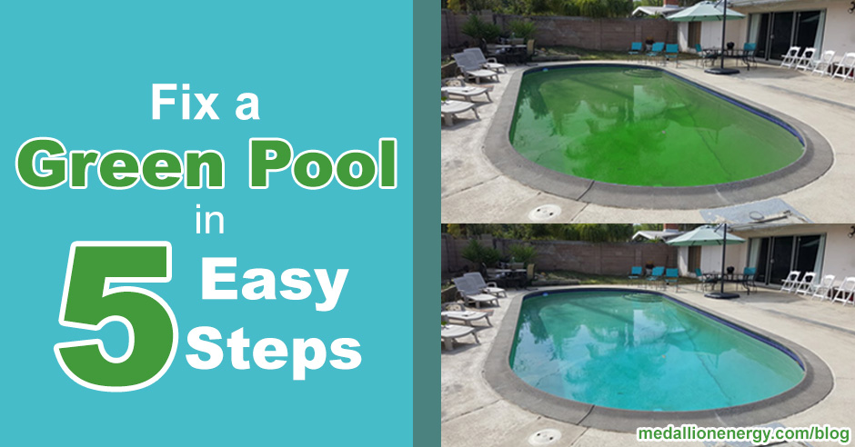 fix a green pool remove pool algae