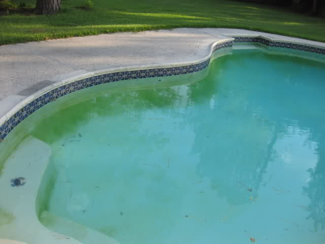 remove light green teal pool algae