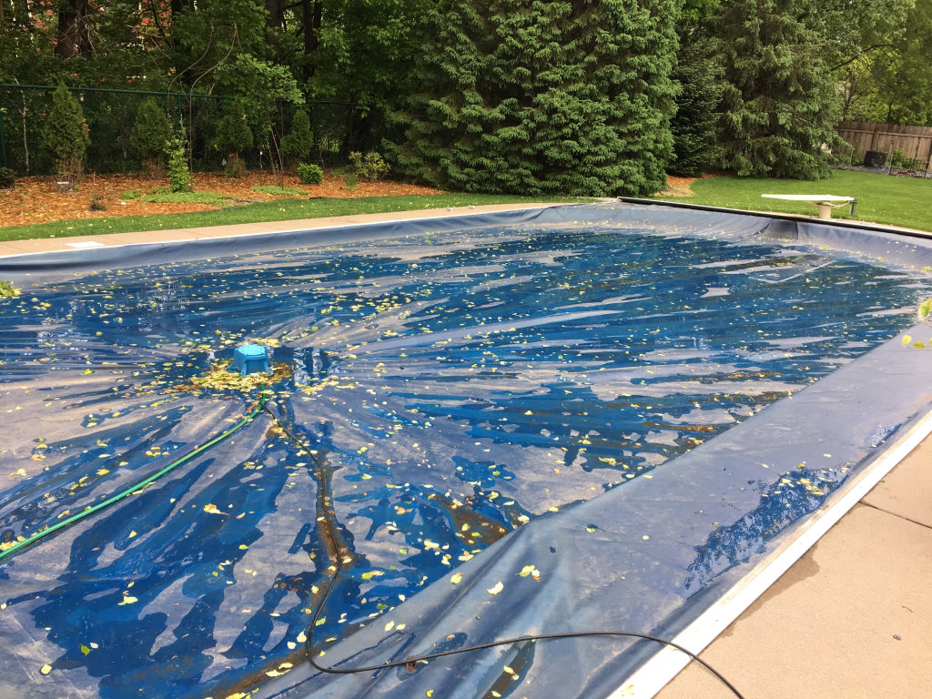 clean of swimming pool cover before opening the pool