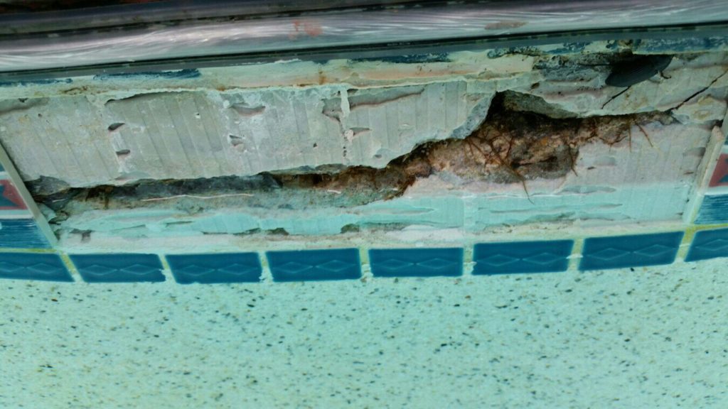 Check pool for cracks before opening swimming pool
