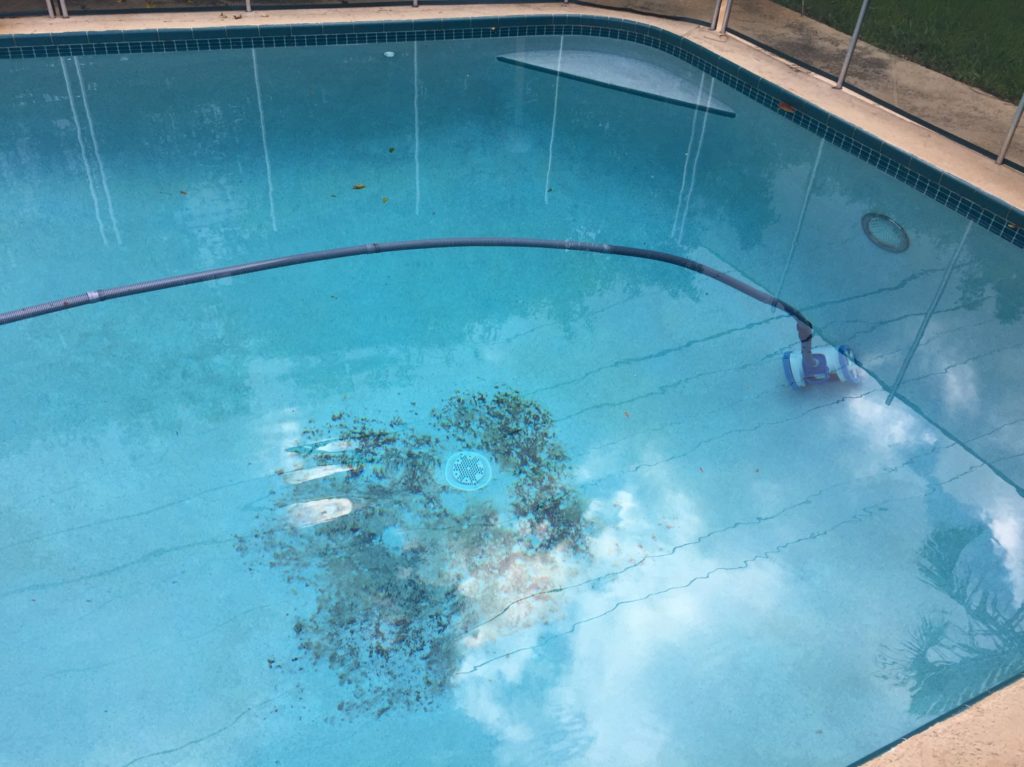 organic pool stains organic pool stain removal