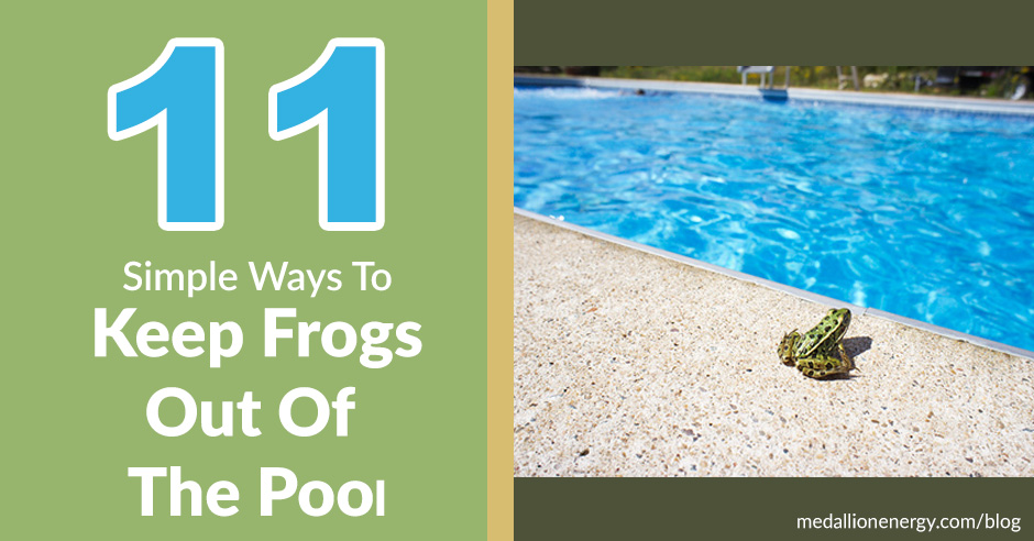 keep frogs out of the pool get frogs out of pool get rid of pool frogs