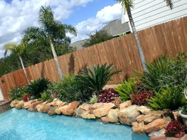 accent plants for pool landscaping