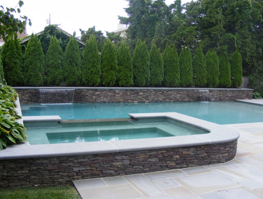privacy plants and hedges for pool landscaping