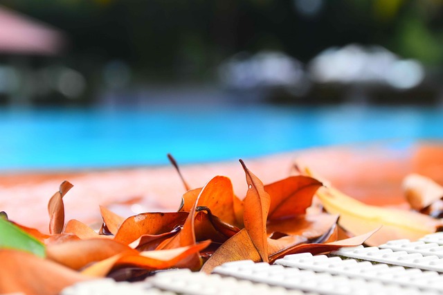 clean your inground pool before you close it