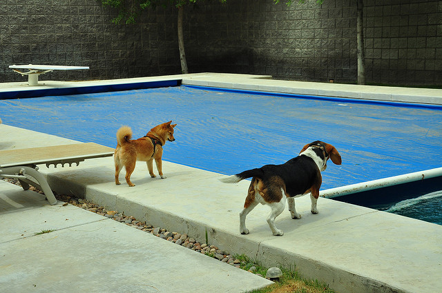 use pool cover to avoid a short pool season