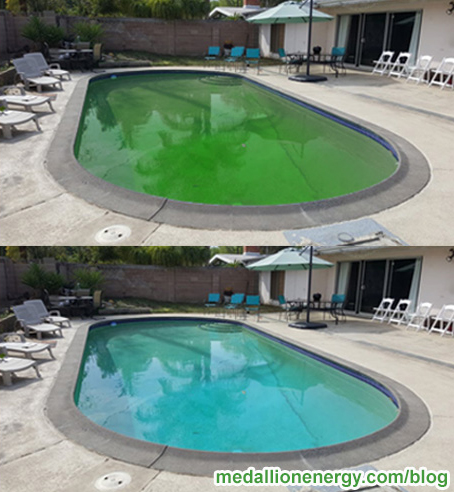 ffix green pool keep pool clean