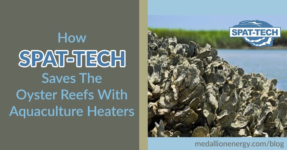 spat tech oyster reef repair with aquaculture heaters