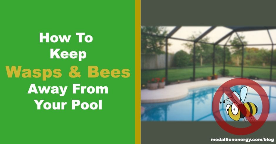 how to keep wasps and bees away from pool repel bees from swimming pool keep wasps away from pool keep bees away from pool