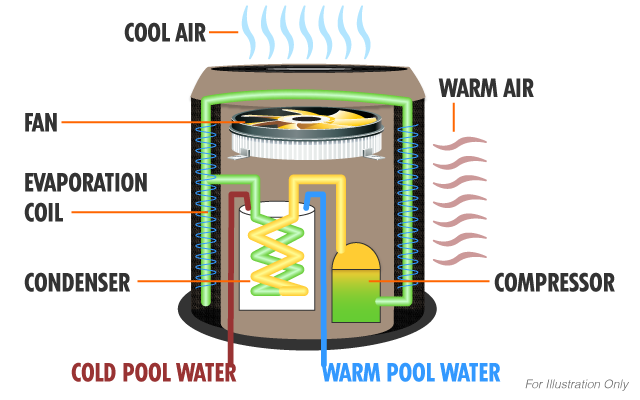 Top 10 Pool Heat Pump FAQs Pool Heating Frequently Asked