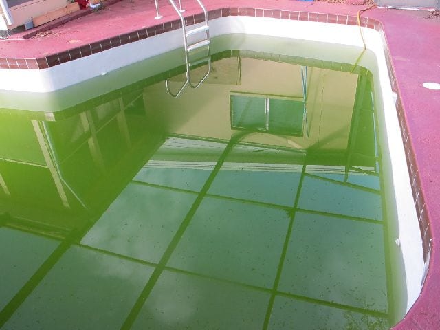 rimuovere verde scuro, alghe piscina sbarazzarsi di verde scuro, alghe piscina