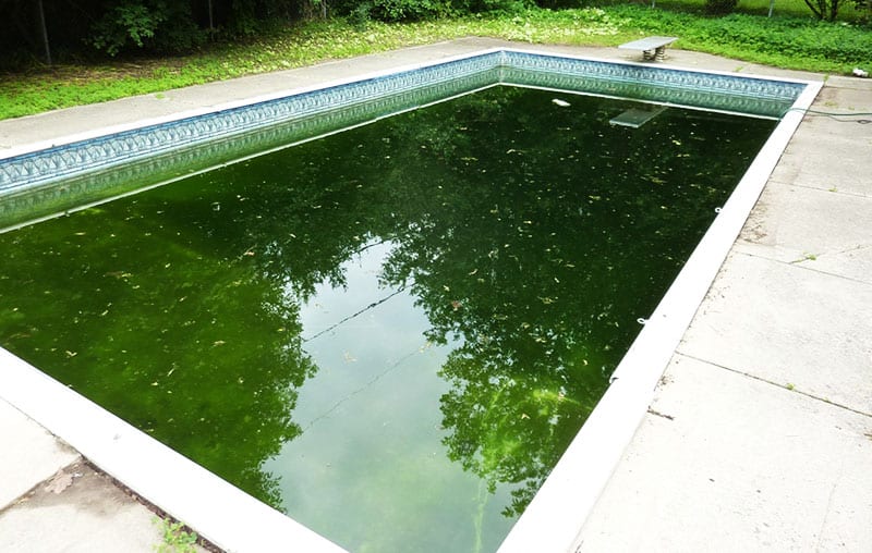 fix green pool supprimer les algues de piscine