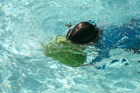 watermelon push 4th of july pool game