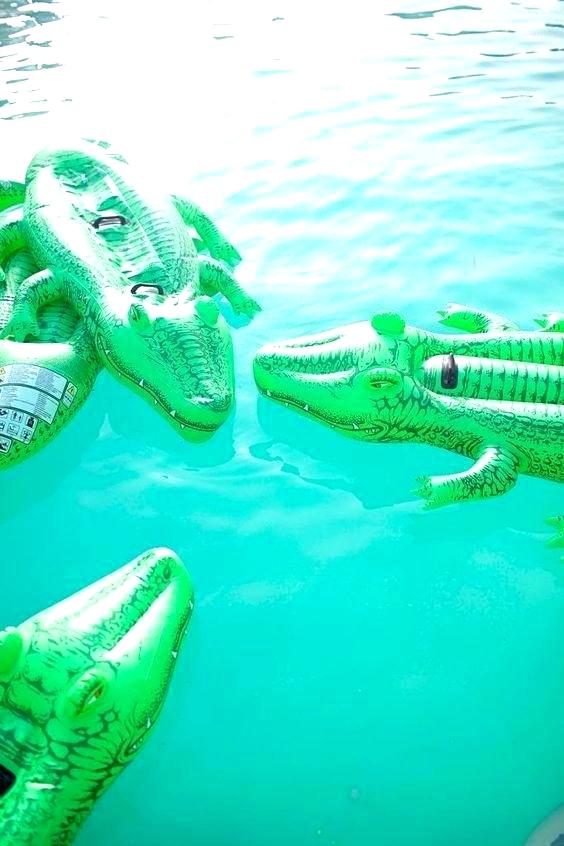 alligator pool float race