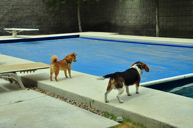 use pool cover to avoid a short pool season