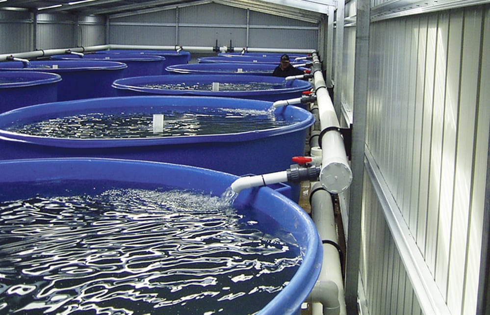 heat pump heaters for aquaculture