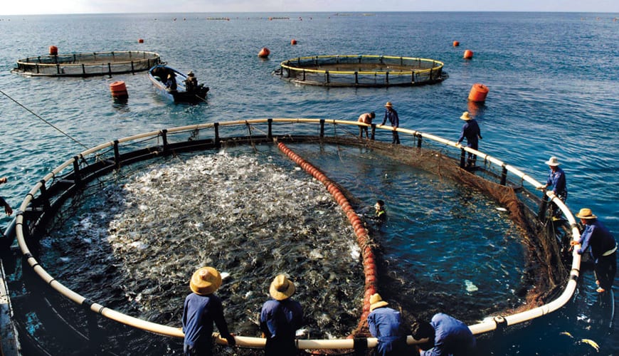 benefits of aquaculture