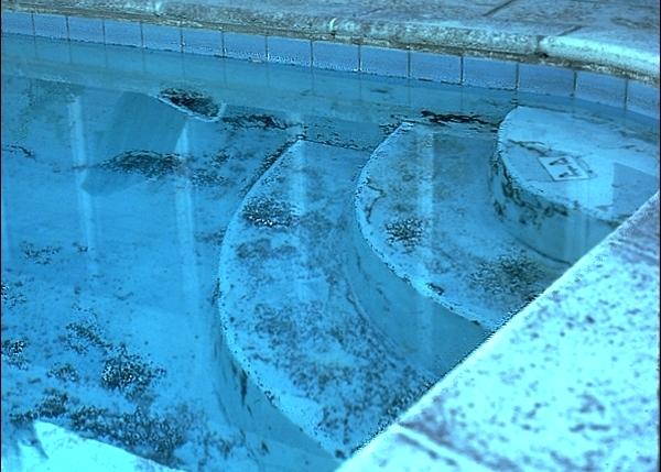 how to treat and remove black algae in swimming pool