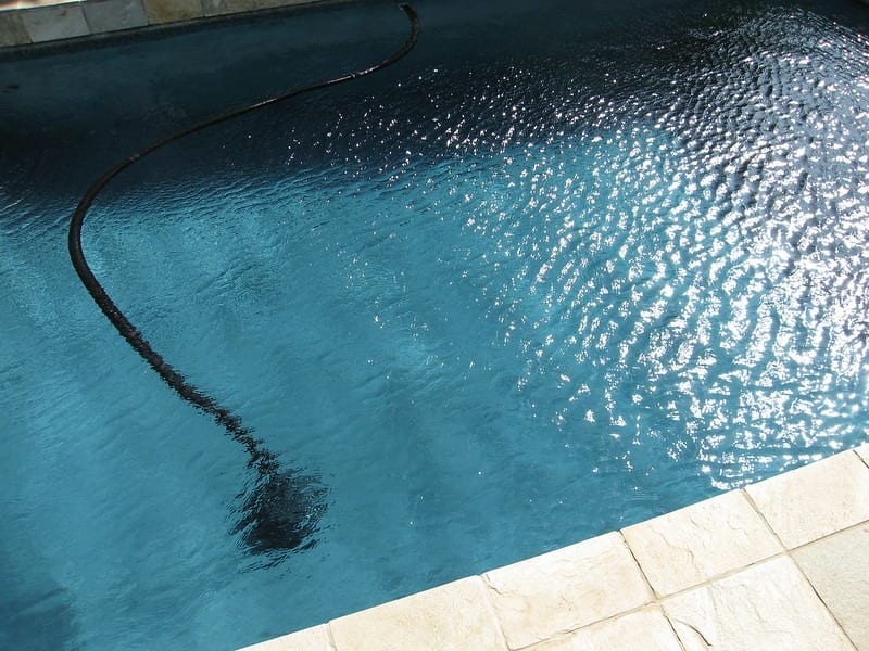 use automatic pool cleaner to keep ducks out of your pool